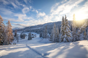 Ski area of Cherz Pralongia, La Viza hut, Cherz, Livinallongo del Col di Lana, Belluno, Veneto, Italy Ski area of Cherz Pralongia, La Viza hut, Cherz, Livinallongo del Col di Lana, Belluno, Veneto, Italy